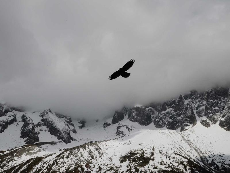 命运的齿轮<br>bcxjjkz.cn 开始转动了